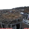18_10-nest.jpg