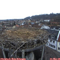 06_50-nest.jpg