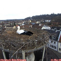 07_40-nest.jpg