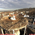 08_20-nest.jpg
