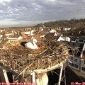 08_25-nest.jpg