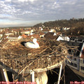 08_30-nest.jpg
