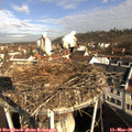 08_55-nest.jpg