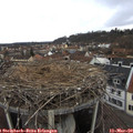 11_55-nest.jpg