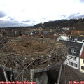 12_00-nest.jpg