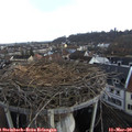 12_55-nest.jpg