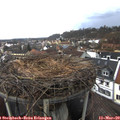 13_05-nest.jpg