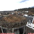 13_15-nest.jpg