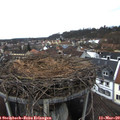 13_20-nest.jpg