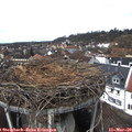 13_25-nest.jpg