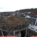 13_30-nest.jpg