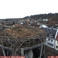 13_35-nest.jpg