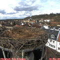 13_40-nest.jpg