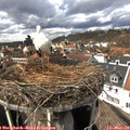 14_10-nest.jpg