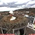 15_05-nest.jpg