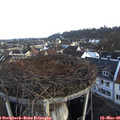 06_55-nest.jpg