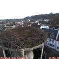 07_00-nest.jpg