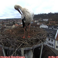 09_25-nest.jpg