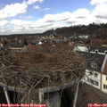 12_25-nest.jpg