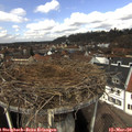 12_30-nest.jpg
