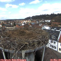 12_35-nest.jpg
