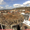12_40-nest.jpg