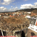 12_45-nest.jpg