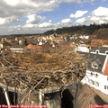 12_55-nest.jpg