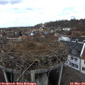 13_05-nest.jpg