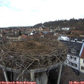 13_10-nest.jpg