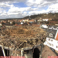 13_15-nest.jpg