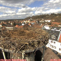 13_20-nest.jpg