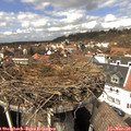 13_25-nest.jpg