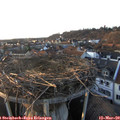 17_55-nest.jpg