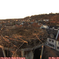 18_00-nest.jpg