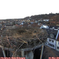18_10-nest.jpg