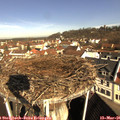 09_30-nest.jpg