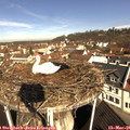 09_55-nest.jpg