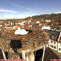 10_00-nest.jpg