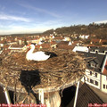 10_05-nest.jpg
