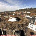 12_45-nest.jpg