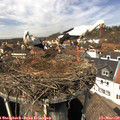 13_20-nest.jpg