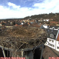 14_00-nest.jpg