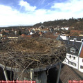 14_05-nest.jpg
