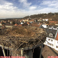 14_10-nest.jpg