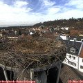 14_15-nest.jpg