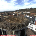 14_20-nest.jpg