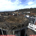 14_25-nest.jpg