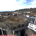 14_30-nest.jpg