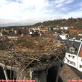 14_35-nest.jpg